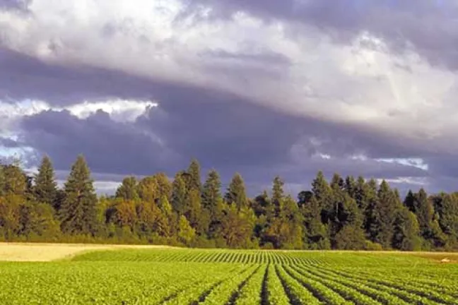 farm picture