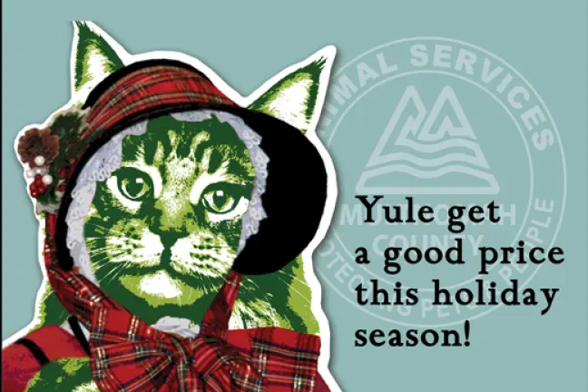 Imagen de la Operación Noche de Paz