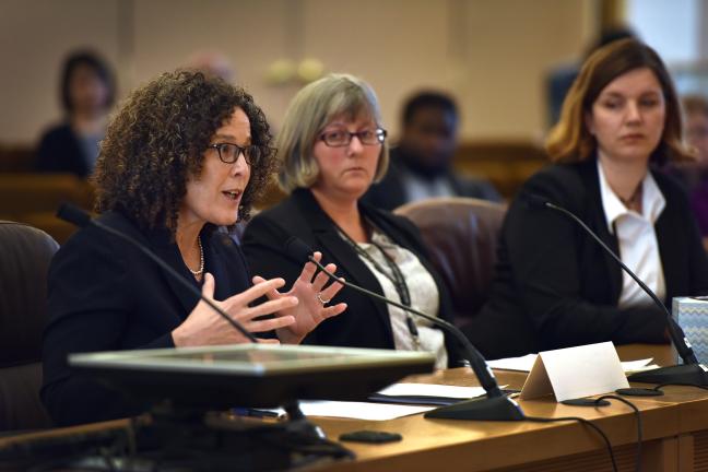 Bea Hanson of the United States Department of Justice Office on Violence Against Women speaks at Thursday's board meeting.