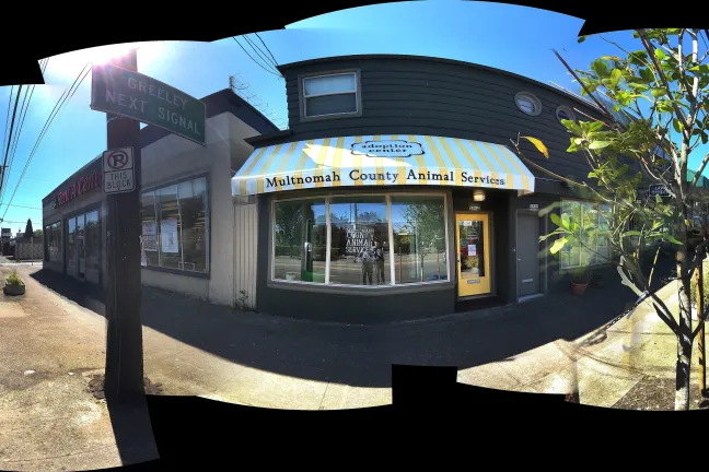 Multnomah County Animal Services new Adoption Center on 2914 N. Lombard in Portland