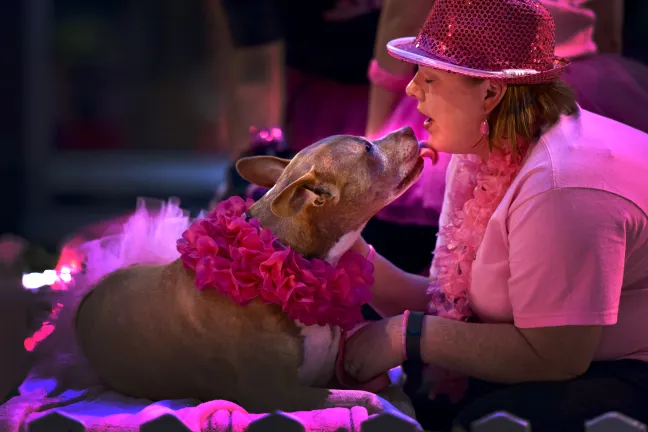 Sadie the pit bull and owner Melanie Graves during the 2015 Starlight Parade