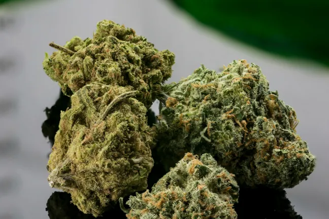 Marijuana buds