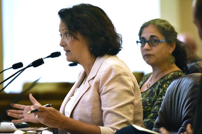 Sally Erickson of the Portland Housing Bureau at Tuesday's board briefing. 