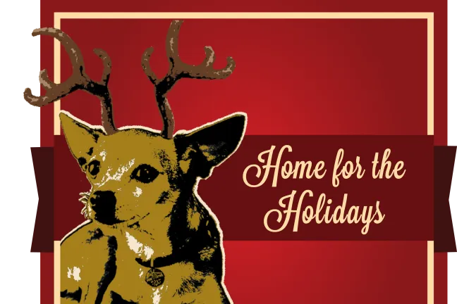 Home for the Holidays graphic 2015