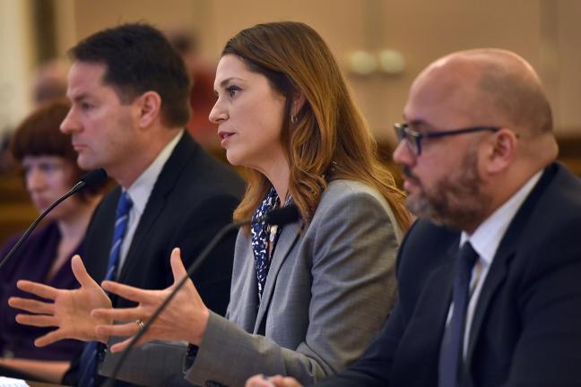 County Attorney Jenny Madkour addresses the board on Jan. 7