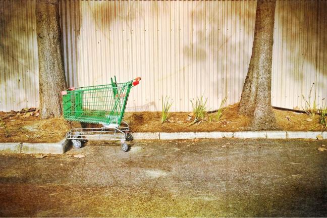 shopping cart