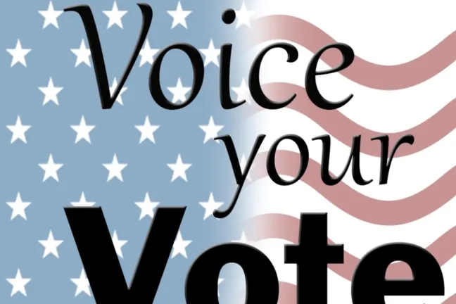 Voice your vote