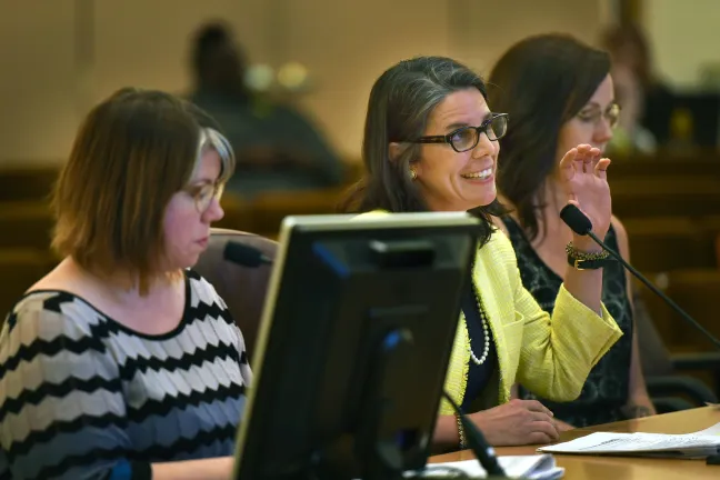 Department of County Human Services Director Liesl Wendt (center) addresses the board on Tuesday.