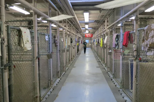 Multnomah County Animal Services Kennel in Troutdale