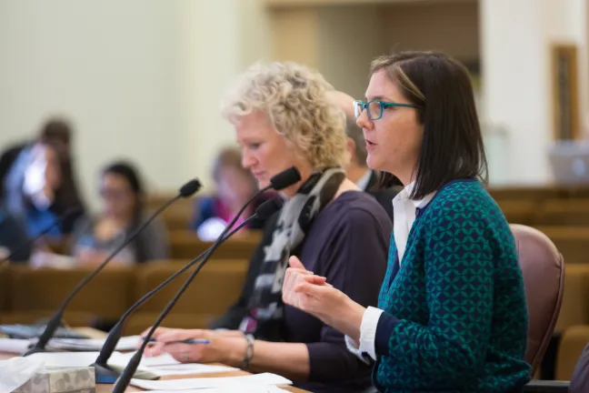 Office of Government Relations Deputy Director Rosa Klein addresses the board at Thursday's board meeting.