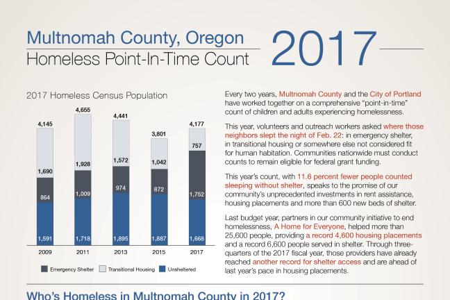 2017 Point-in-Time Count flyer page 1