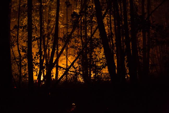 Firefighters work late into the night on the Eagle Creek Fire