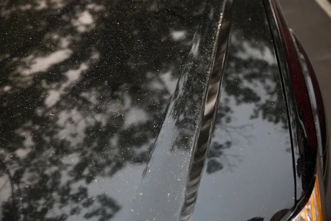 car ash Eagle Creek
