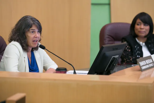 Commissioner Sharon Meieran shared her experience with gun violence as an Emergency Room physician.