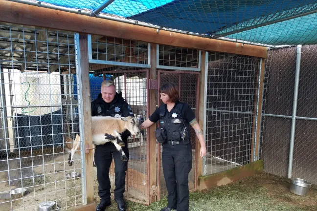 Multnomah County Animal Services Officers help relocate animals in Bridle Veil