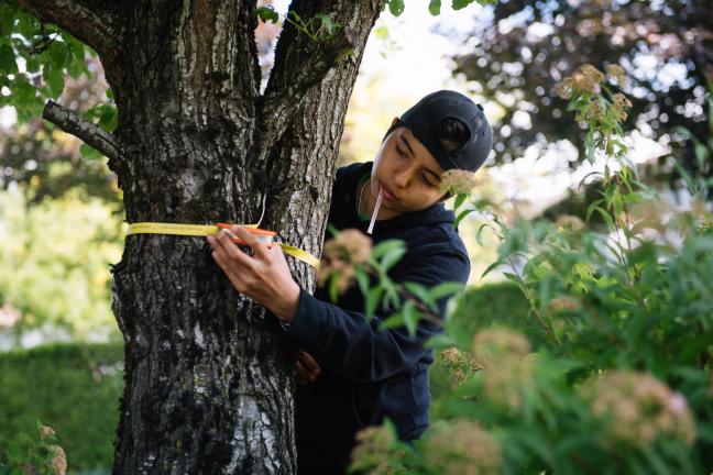 Gresham Tree Team is helping to make a healthier urban environment for residents of West Gresham