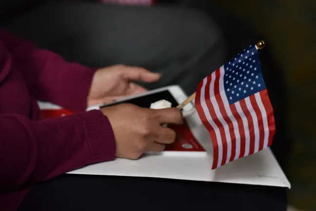 a new citizen, 2016