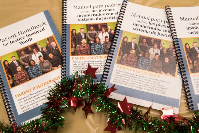 The 48-page handbook includes everything from visiting hours at the Donald E. Long Detention Center to a glossary of common justice terms to tips for court appearances and important contacts for parents.