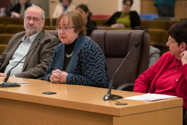 Karen Burger, center, testifies on the Community Involvement Committee.