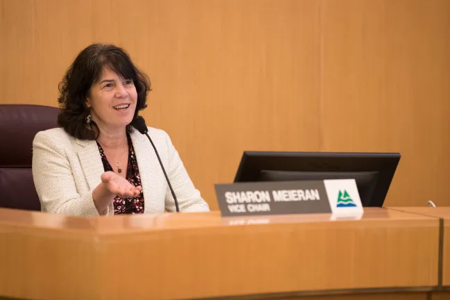 Commissioner Sharon Meieran says oversight of regional mental healthcare can be hard to untangle.