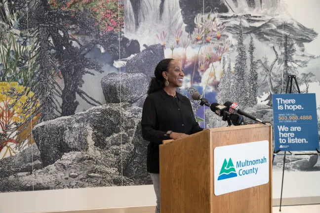 Patricia Charles-Heathers, the Health Department’s newly appointed director, speaks of a workforce dedicated to recovery