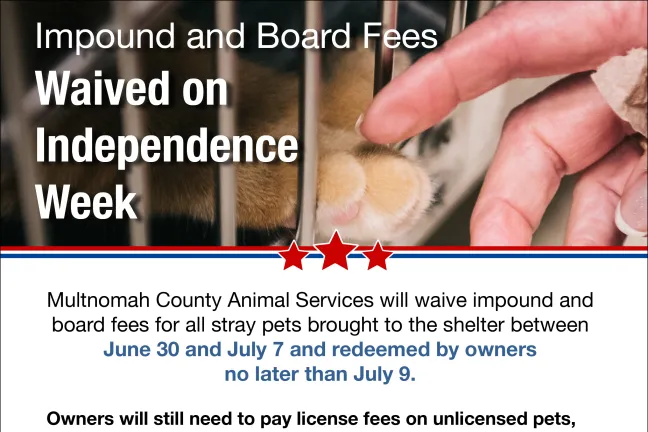 Reunite with lost pets quickly during Independence Week/Animal Services to waive Impound and Board fees