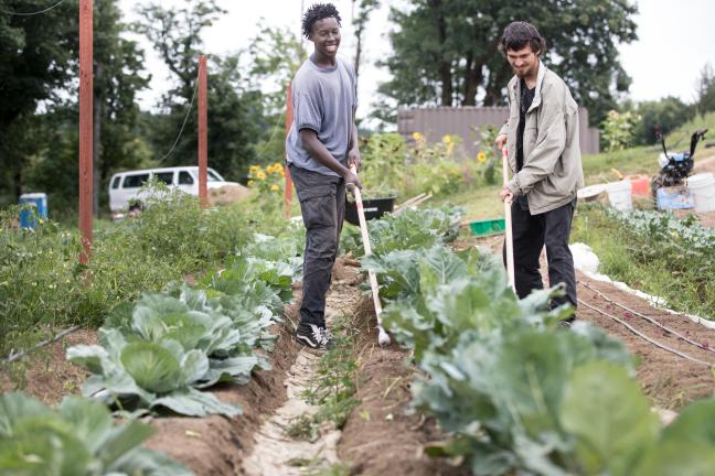 SummerWorks interns Mucai Mutumbi, left, and Anthony Telles on a busy morning at Mudbone Grown Farm.