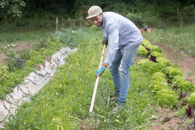 Aspiring farmer Chris Hamilton joined the Mudbone Grown farming apprenticeship, which gives him free access to his own plot of land.