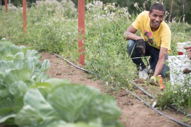 SummerWorks intern Charles Walker, 19, said he likes hearing people's stories on the farm