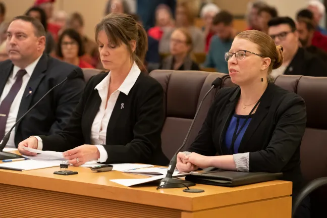 Aplicación de la ley contra la violencia doméstica