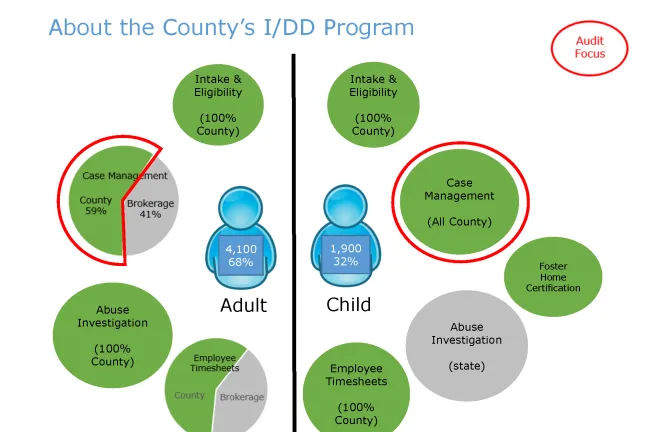 graphic explaining the various tasks of the Intellectual and Developmental Disability Services Division.