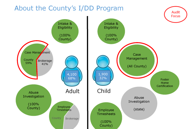 graphic explaining the various tasks of the Intellectual and Developmental Disability Services Division. 