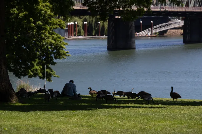 During hot weather and COVID-19, seek the shade while you keep distance from people who aren't members of your household