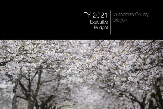 FY2021 Executive Budget Vol. 1 cover