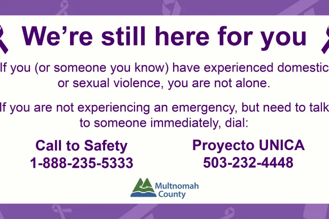 Domestic Violence Crisis Line