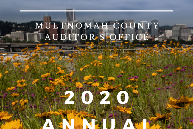 2020 annual report cover page