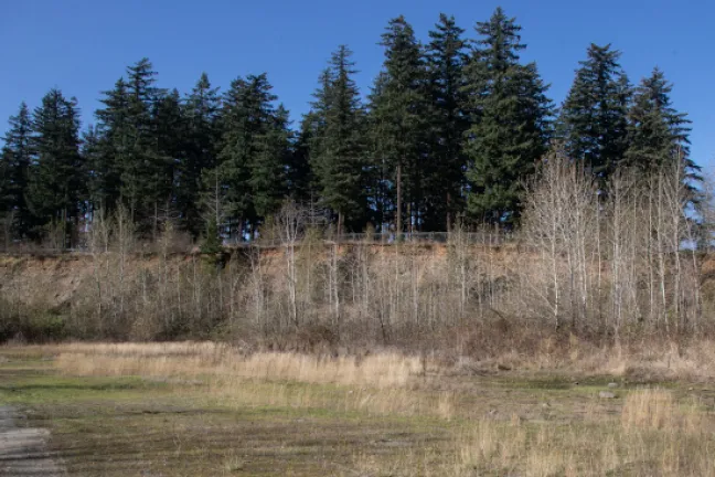 A row of evergreens line the top edge of the pit, while a small trail runs through the grass and leafless trees below.