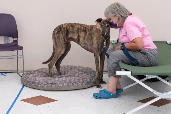 Photo of pet and it's owner at the Arbor Lodge Cooling Center.