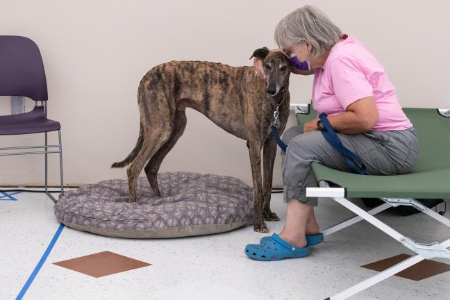 Photo of pet and it's owner at the Arbor Lodge Cooling Center. 