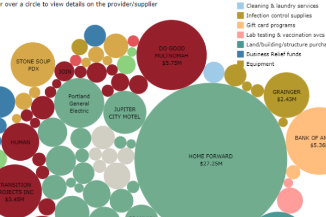 Bubble chart showing pandemic-related expenditures by providers/suppliers (over $100,000)