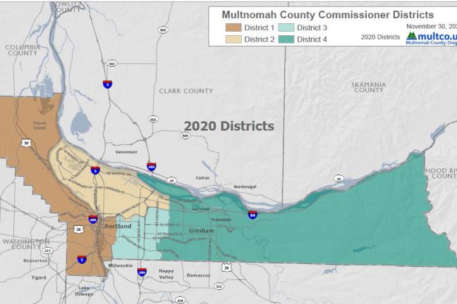 Proposed redistricted map based on the 2020 Census.