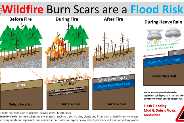 Image of trees before, during, and after a fire.  Followed by image of clouds showing how water flows down hills. 