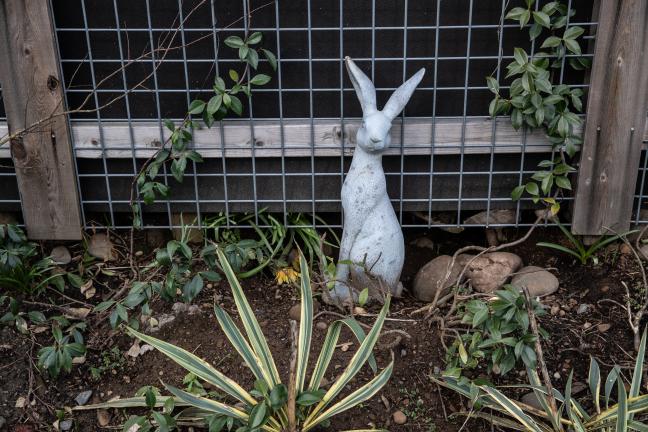 A detail of the garden statues in the courtyard at the Laurelwood Center shelter on Friday, March 11, 2022.