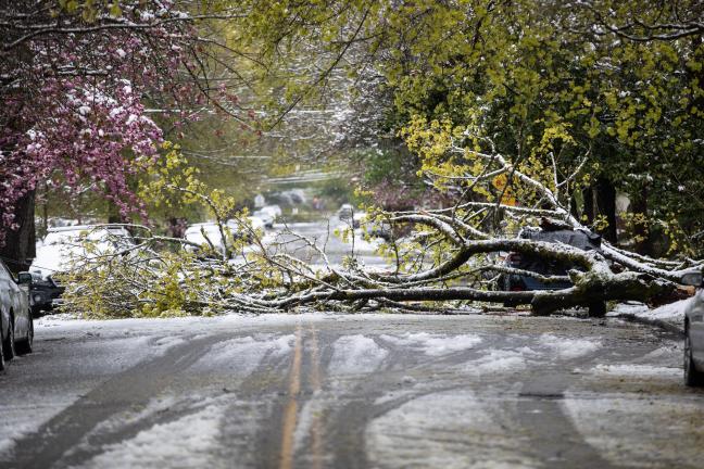 Snow and downed trees in Multnomah County on April 11, 2022.