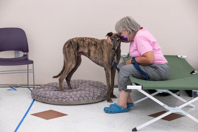 A neighbor and her dog take refuge from the heat at Arbor Lodge cooling center in August, 2021