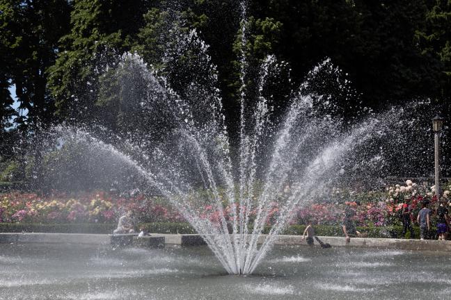 People and dogs splash in a fountain at Peninsula Park in June, 2022.