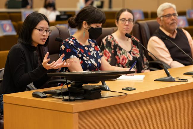 Members of the Charter Review Committee present their recommendations during the Tuesday, Aug 2 board briefing.