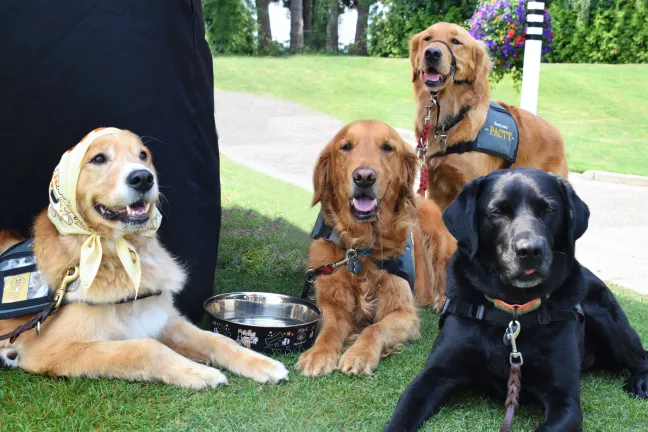 Photo Courtesy DoveLewis of Portland Area Canine Therapy Team
