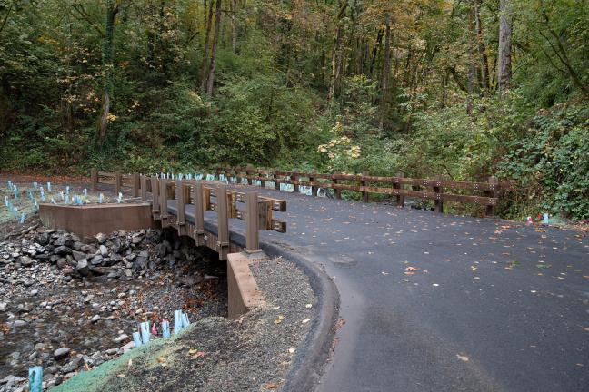 Latourell Road, Columbia River Gorge 