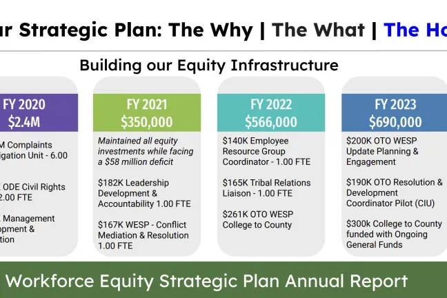 Image taken from the presentation showing the budgeted amounts for each year to build the equity infrastructure.